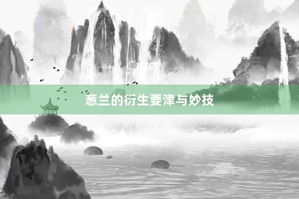 葱兰的衍生要津与妙技